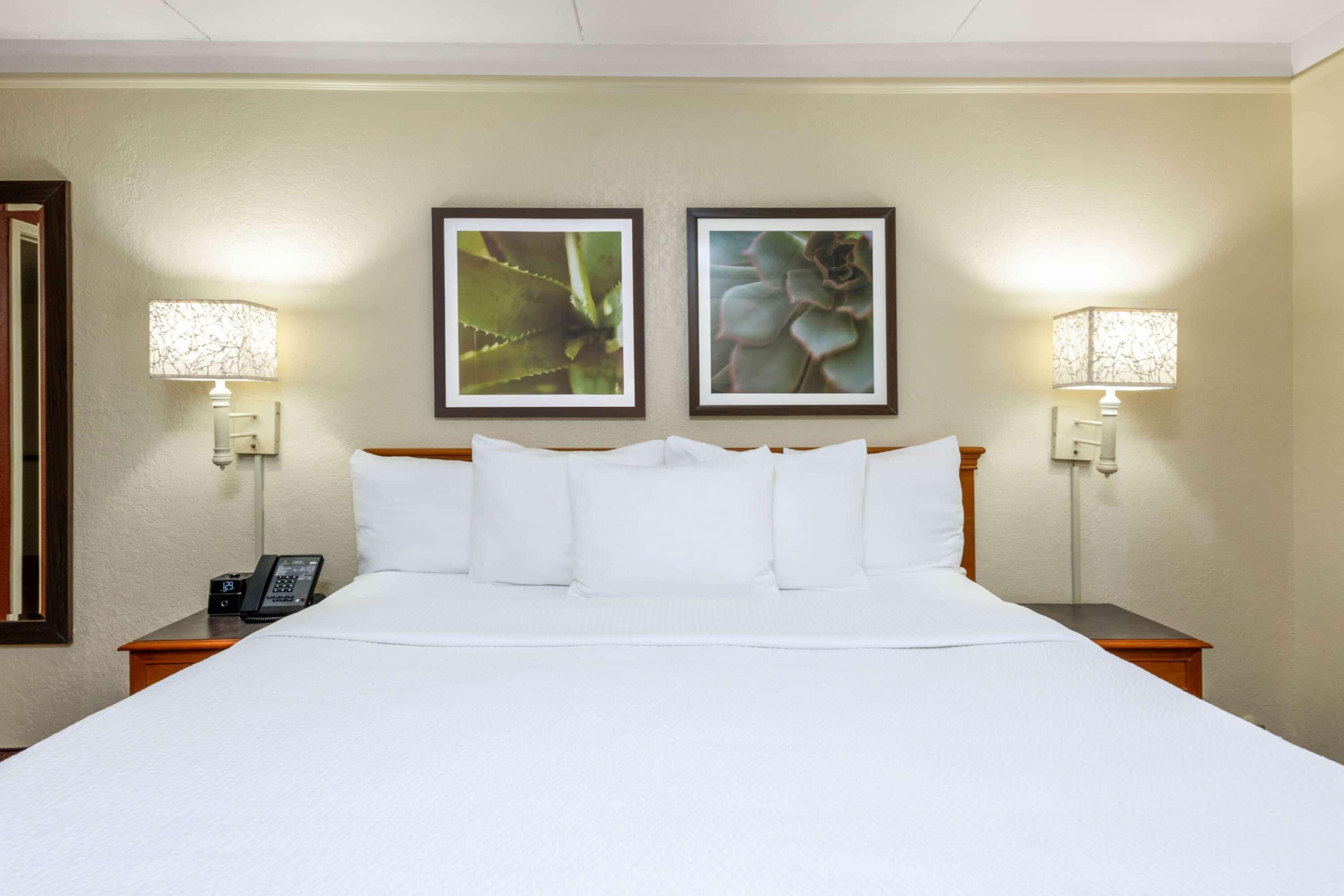 La Quinta East Deerfield Beach - Boca Raton Buitenkant foto